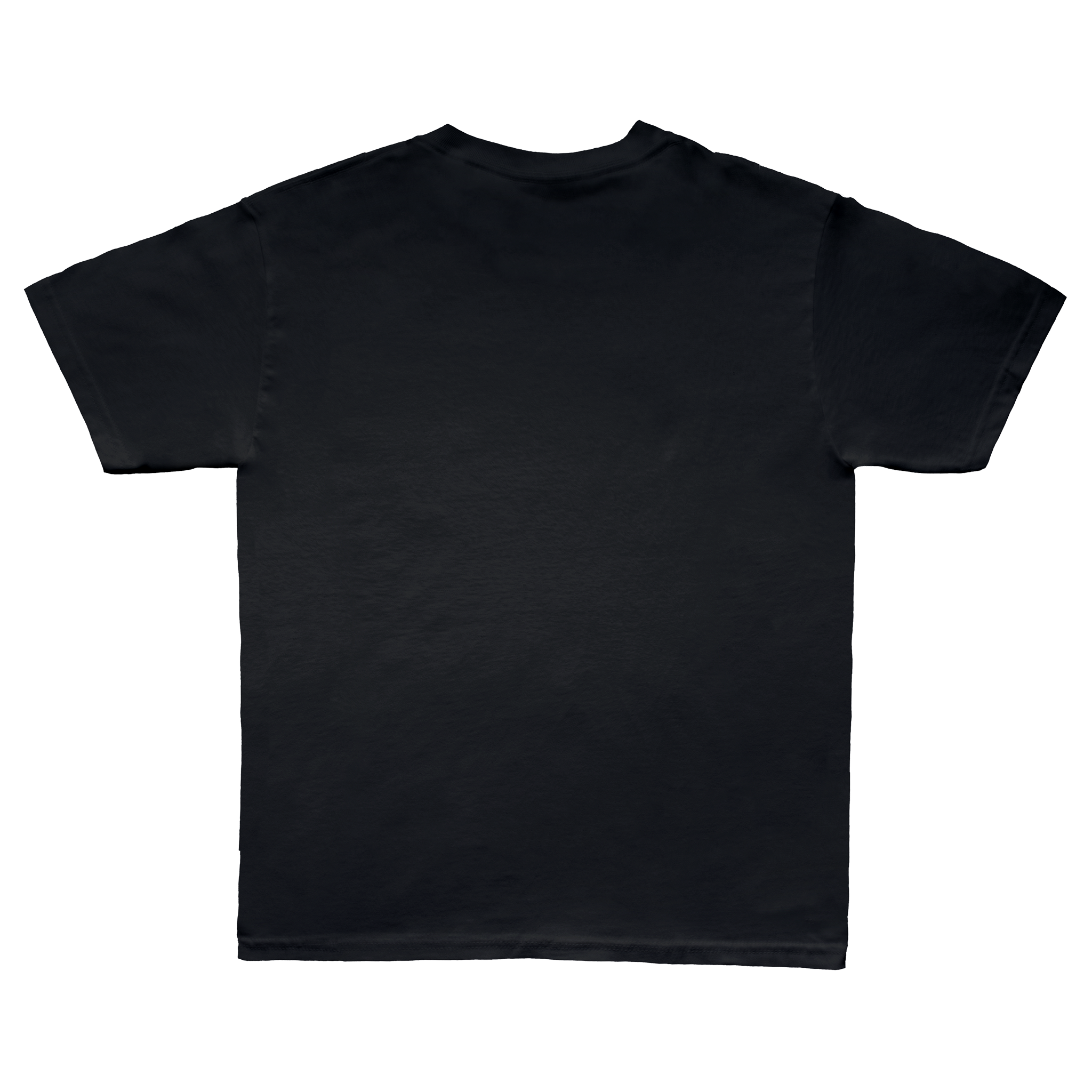 BLOW IT OFF TEE