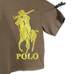 American Polo Print