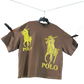 American Polo Print